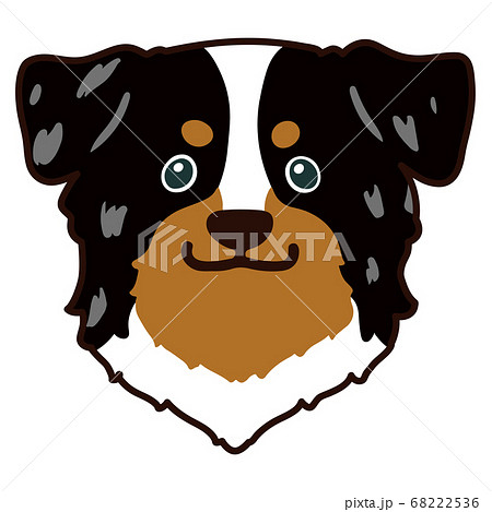 お座りするオーストラリアンシェパード 主線ありのイラスト素材