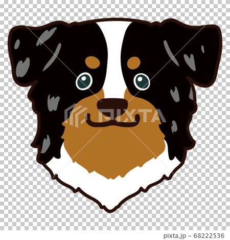 Sit down Australian Shepherd main line available Sit down Australian Shepherd main line available 68222536