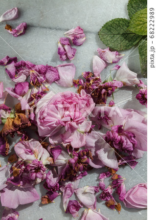 Dry roses and green leaf on a marble background Dry roses and green leaf on a marble background 68222989