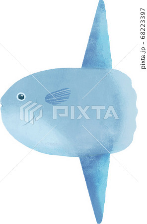 マンボウのイラスト素材