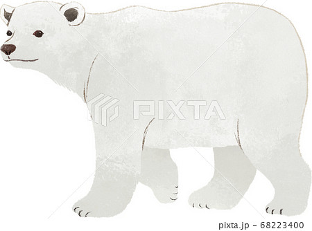 ホッキョクグマのイラスト素材