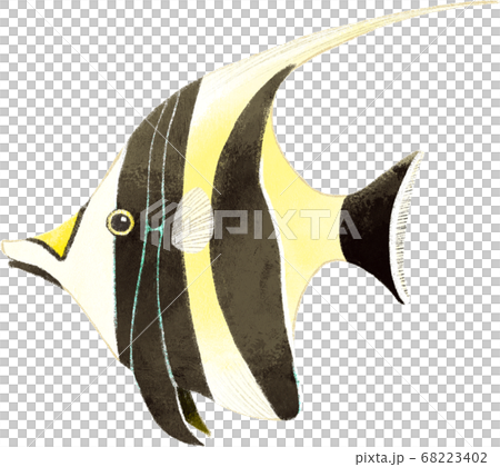 Tsunodashi 68223402