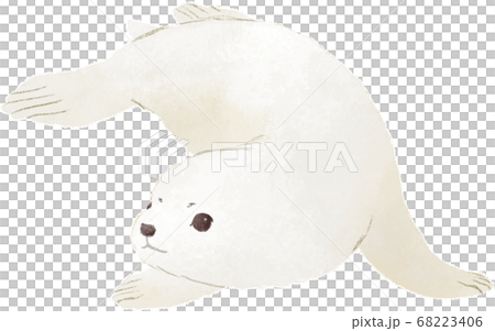 戈馬海豹 68223406