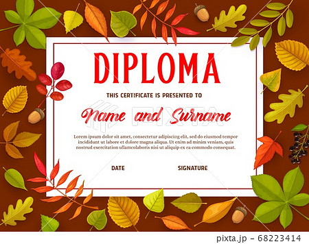 Education certificate with autumn leaves, diploma Education certificate with autumn leaves, diploma 68223414
