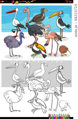 cartoon funny birds group coloring book page 68223729