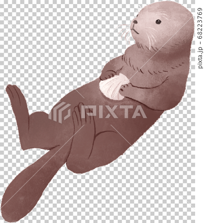 ラッコ Sea Otter のイラスト素材