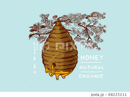 Honey and bees. Honeycombs and hive and apiary. Vintage logo for typography, shop or signboards 68225211