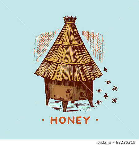 Honey and bees. Honeycombs and hive and apiary. Vintage logo for typography, shop or signboards 68225219
