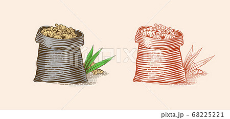 Ginger root in a bag, Chopped rhizome, Fresh plant. Vector Engraved hand drawn sketch. Pieces of 68225221