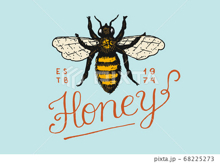 Honey and bees. Vintage logo for typography, shop or signboards. Badge for t-shirts. Hand Drawn 68225273