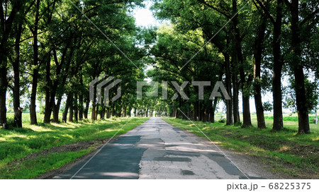 View of the nature of Moldova 68225375
