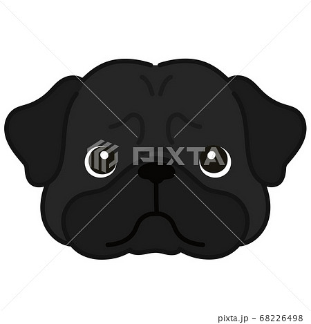 かわいい黒いパグの顔のイラスト 主線ありのイラスト素材 68226498 Pixta
