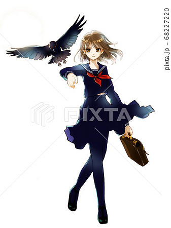 セーラー服の女の子とカラス:白背景 セーラー服の女の子とカラス:白背景 68227220