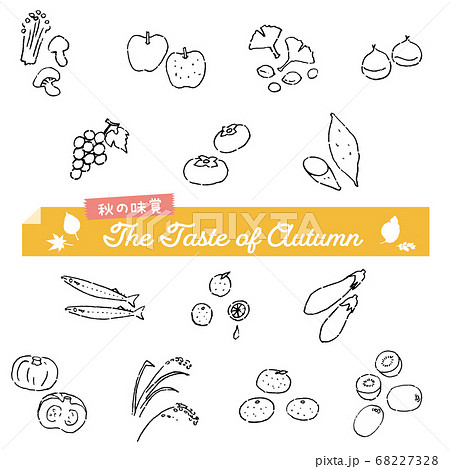 秋の味覚の食材 手描きアイコン風のイラスト素材