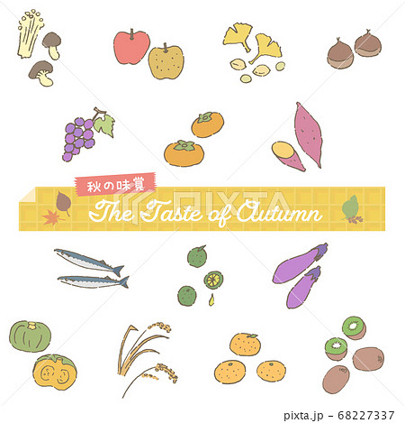 秋の味覚 食材のシンプルなイラストセットのイラスト素材