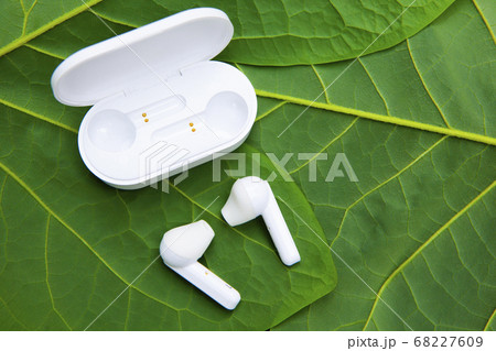 image of headphones leaf background  68227609
