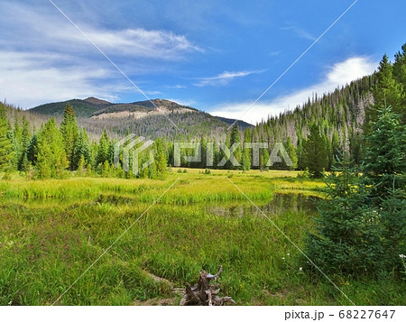 ロッキーマウンテン国立公園・ルル シティ / Lulu City, Rocky Mountain 68227647
