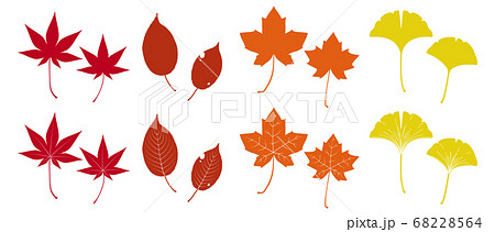 いろいろな秋の落ち葉のイラストのイラスト素材