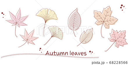 ペン画風の秋の落ち葉のイラストのイラスト素材