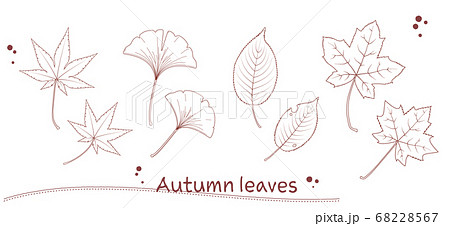 ペン画風の秋の落ち葉のイラストのイラスト素材 68228567 Pixta