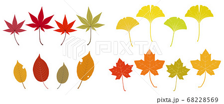 いろいろな秋の落ち葉のイラストのイラスト素材