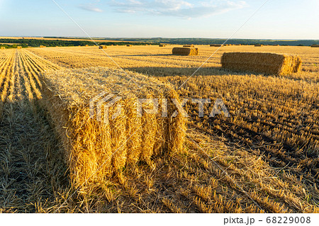 Summer Landscape with Wheat Field At Sunset Summer Landscape with Wheat Field At Sunset 68229008