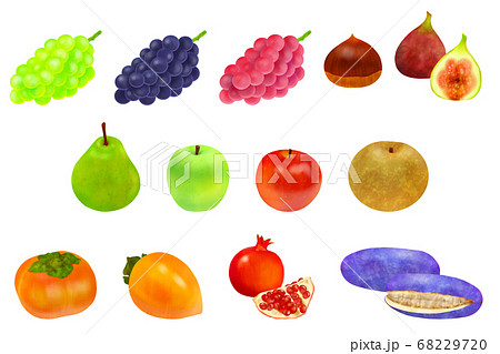 秋の味覚　果物セット 68229720