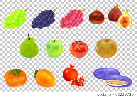 秋の味覚　果物セット 68229720