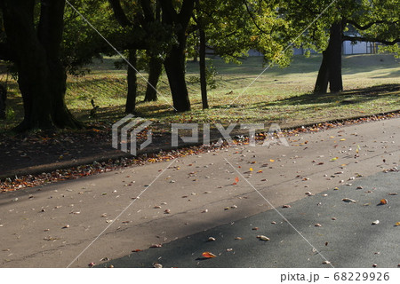 坂道の印象的風景 68229926