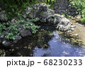 鏡池 68230233