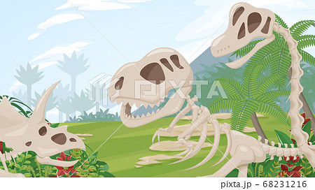 恐竜の化石と先史時代の植物の風景 ジュラ紀白亜紀 背景イラスト 16 9のイラスト素材