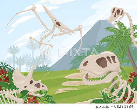 恐竜の化石と先史時代の植物の風景 ジュラ紀白亜紀 背景イラストのイラスト素材