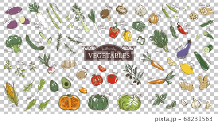 おしゃれでラフな野菜のスケッチイラストセットのイラスト素材 おしゃれでラフな野菜のスケッチイラストセットのイラスト素材
