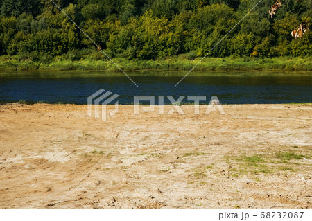Sandy beach by the river and forest 68232087