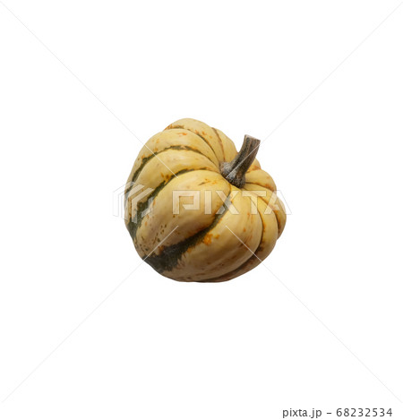 Mini yellow and green striped pumpkin vegetable seasonal image 68232534