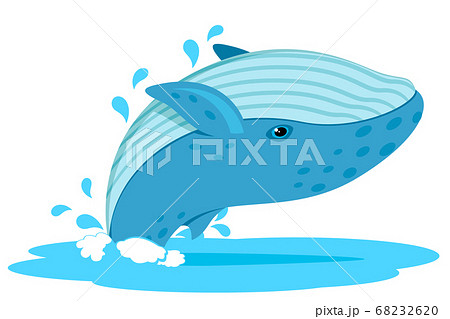 Whale Emerged From The Water Character On A White Stock Illustration 6326