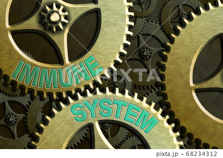 Text sign showing Immune System. Conceptual photo 68234312