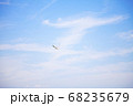 羽ばたく鳥 68235679