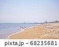 海鳥と海辺 68235681
