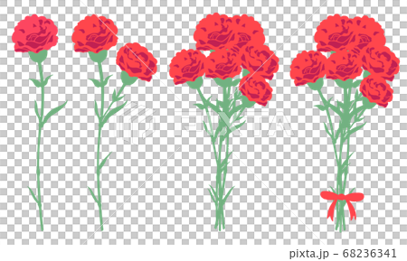 カーネーション 赤 線無しのイラスト素材