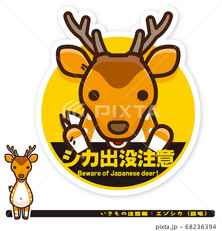 いきもの注意報：エゾシカ（夏毛）出没注意サイン 68236394
