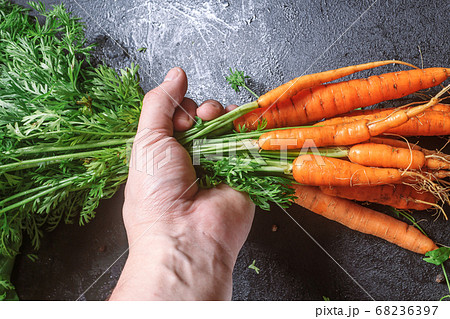 carrots with green stems bunch in a male hand on a black table. copy space, close up, 68236397
