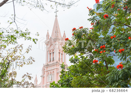 Da Nang Cathedral and blooming tropical tree against the sky. The church is one of top tourist attractions of the city. 68236664