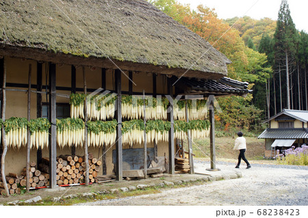 四季の散歩 秋 紅葉 四季の散歩 秋 紅葉 68238423