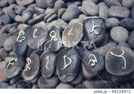 BLACK Friday the biggest shopping days of the year 2019, writen on stone with sprouts - different side - image BLACK Friday the biggest shopping days of the year 2019, writen on stone with sprouts - different side - image 68238972