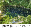 十二湖の青池の全景 68239052
