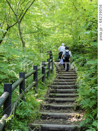 十二湖周辺の散策路 十二湖周辺の散策路 68239056