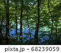 散策中の十二湖の景色 68239059
