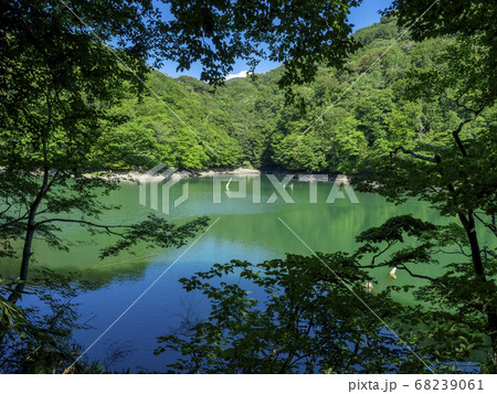 散策中の十二湖の景色 68239061