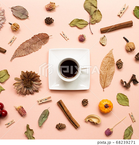 Cup of coffee with autumn leaves and plant on pink background. flat lay, top view Cup of coffee with autumn leaves and plant on pink background. flat lay, top view 68239271